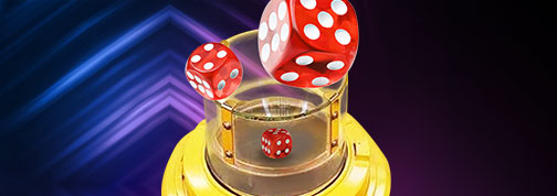 bingosicbo